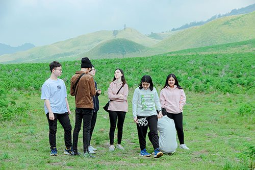 Bromo Travelista 15